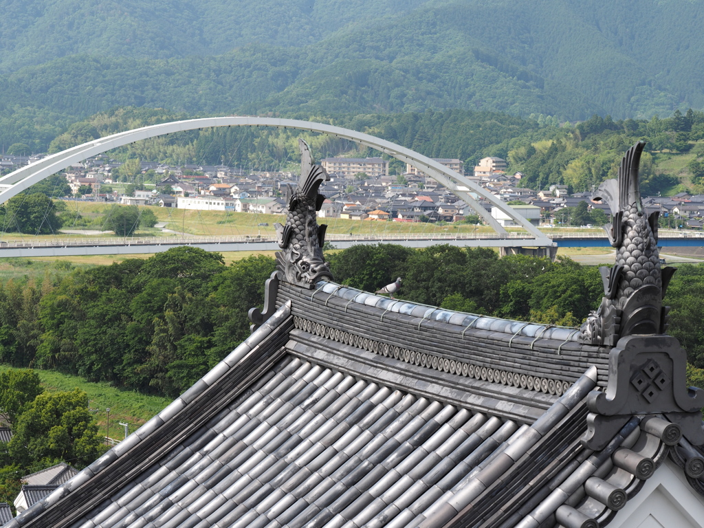 天守からの眺め　明智藪