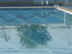 夏の喧騒が一転