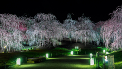 鈴鹿の森庭園より_④