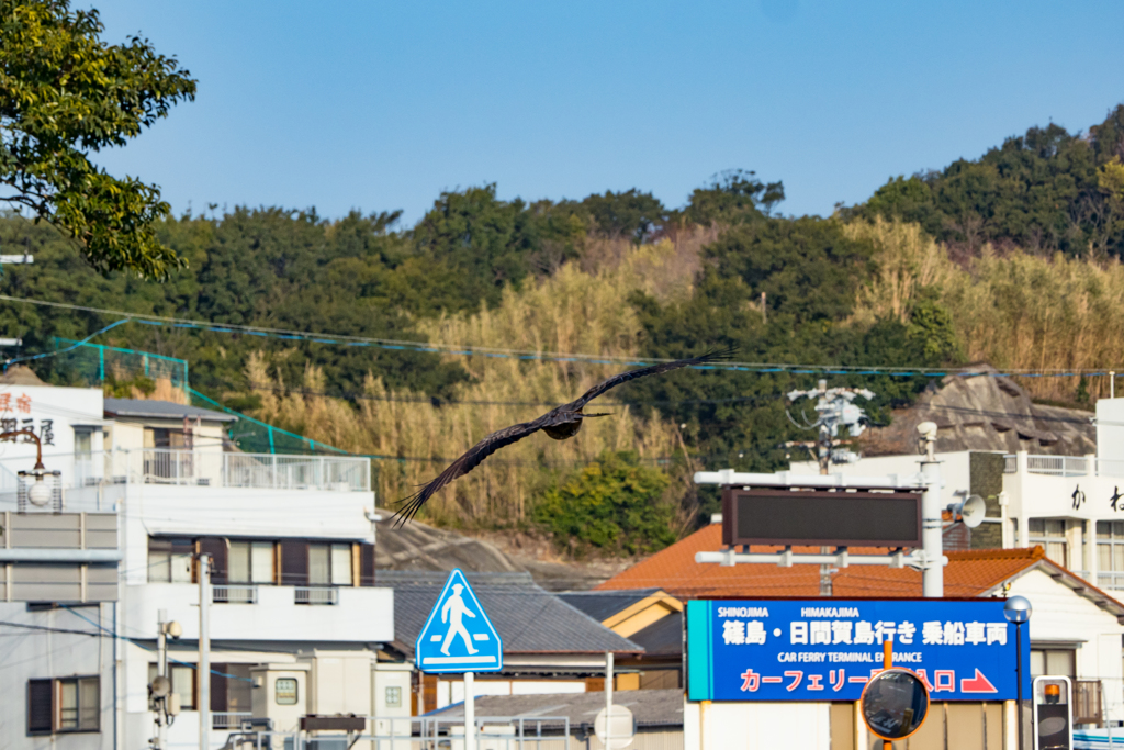 ワンショット