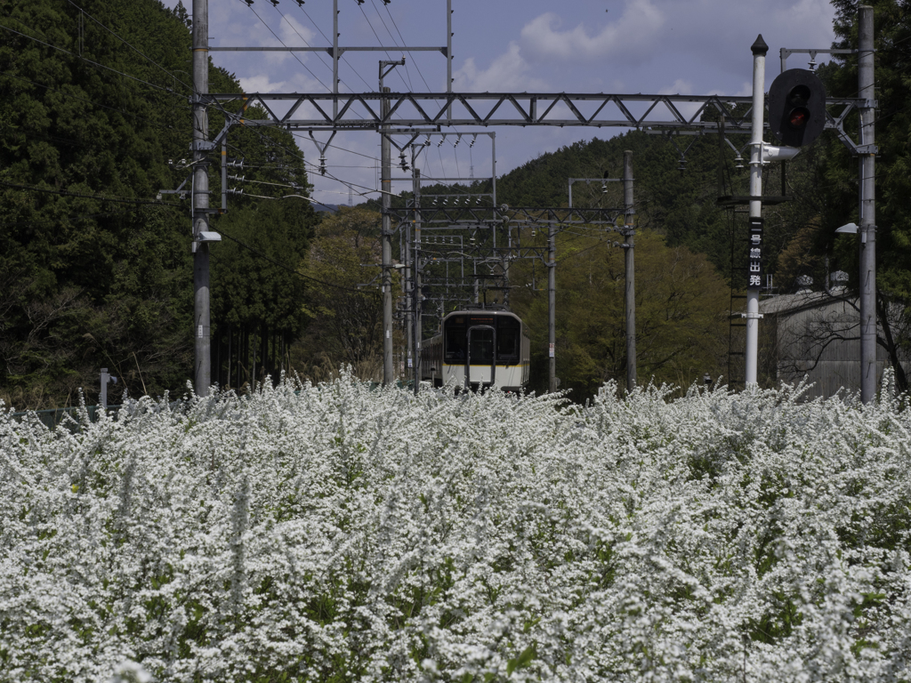 吉野駅 より