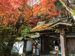 石山寺 拾翠園より