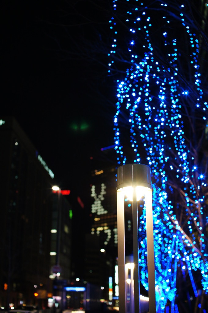夜の街