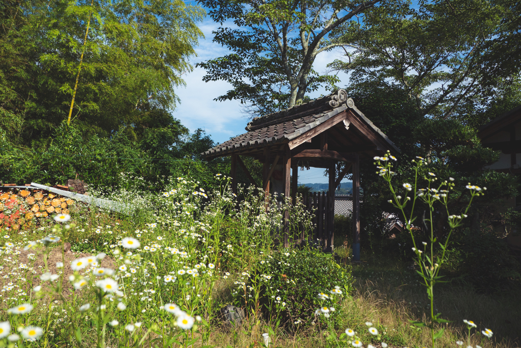 なにげない風景