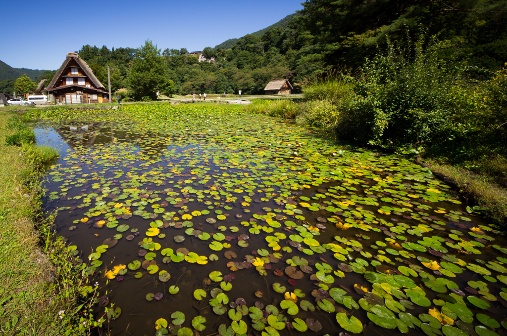 ~合掌造りのある風景~