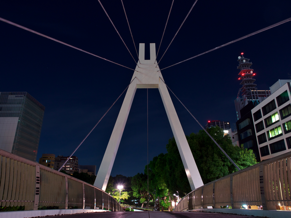 名古屋の夜