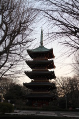 建物