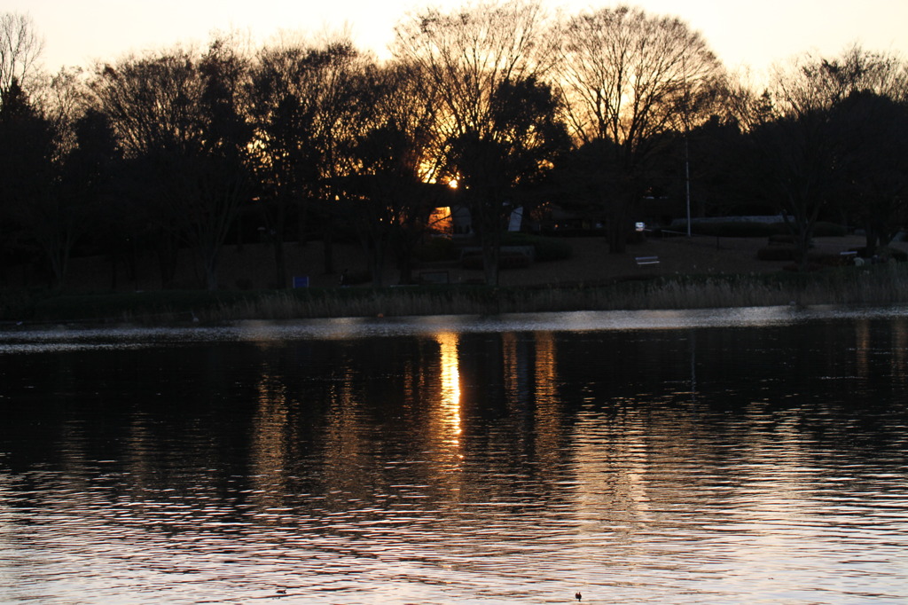 晩秋の夕景