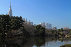 新宿御苑