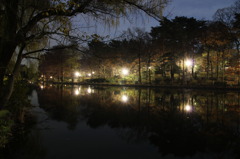 夜景