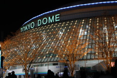 dome