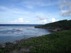 海