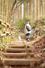 自然の空気