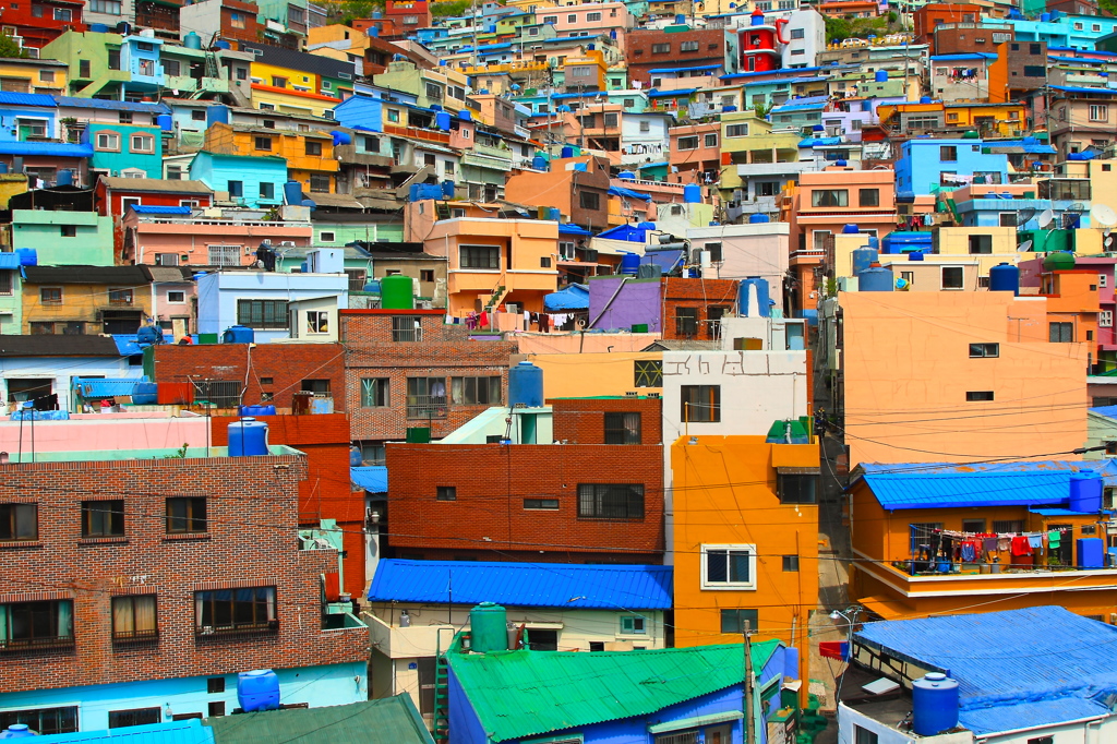 Vivid color