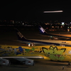 ぴかちゅう飛行機