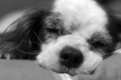 Good night.