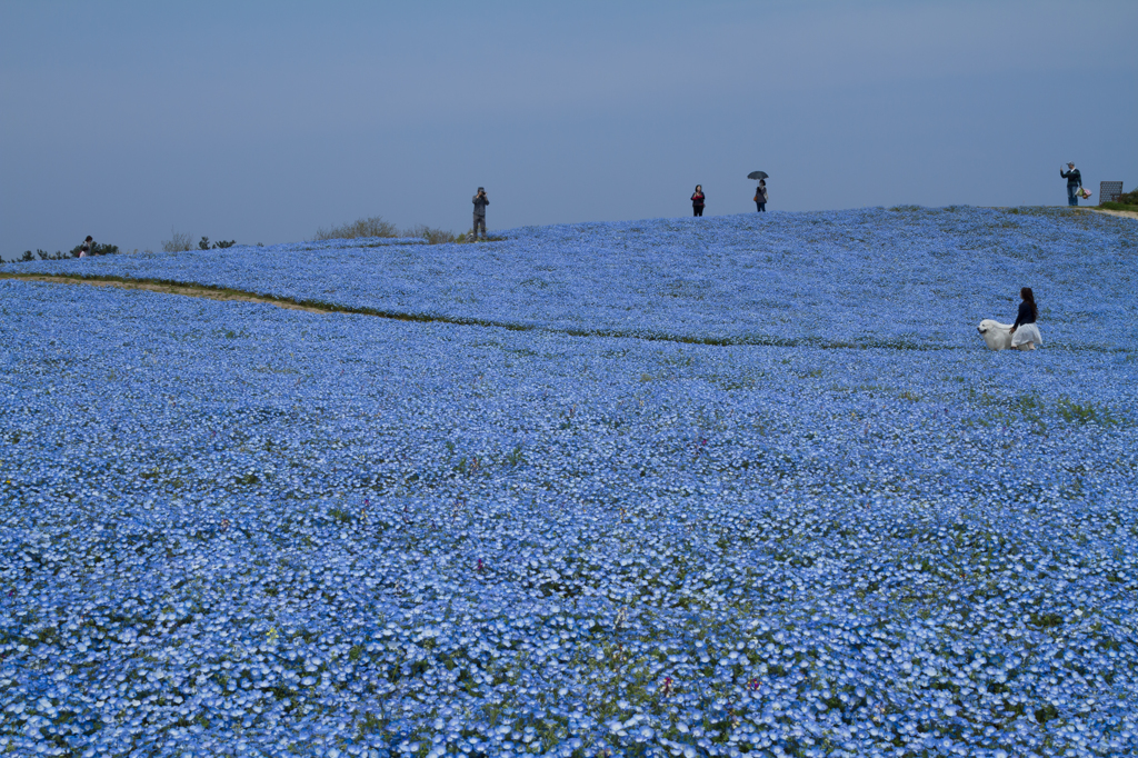 In the blue world 