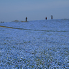 In the blue world 