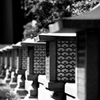 Moment of Quietness