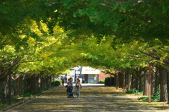 Green Tunnel