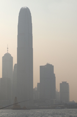 Buildings beyond the Harbor