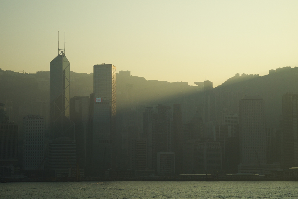 Envy of Everyone Else