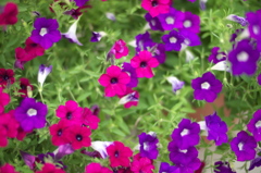 P7056015