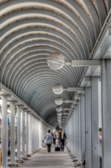 Pathway to a Harbour