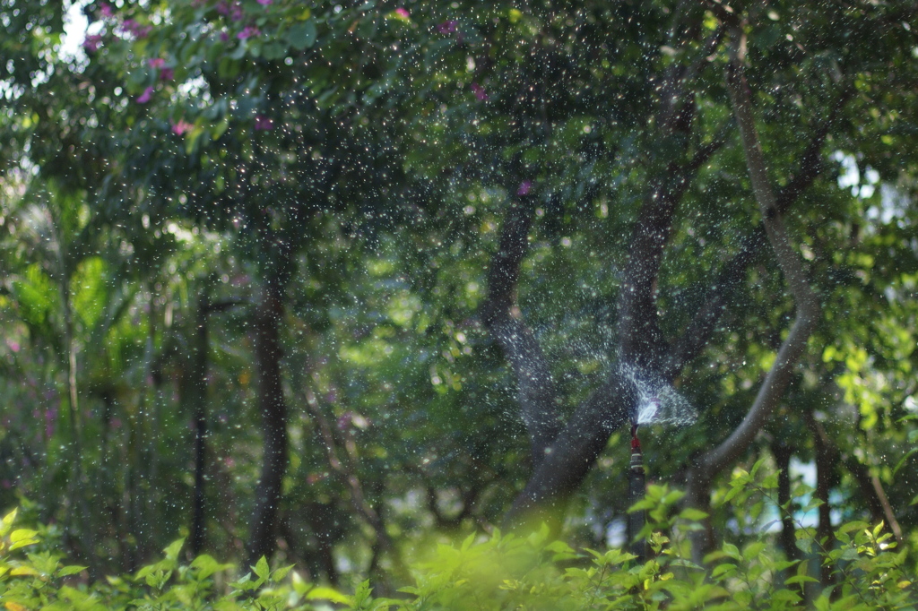 Sprinkler