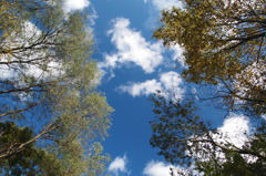 Open Roof