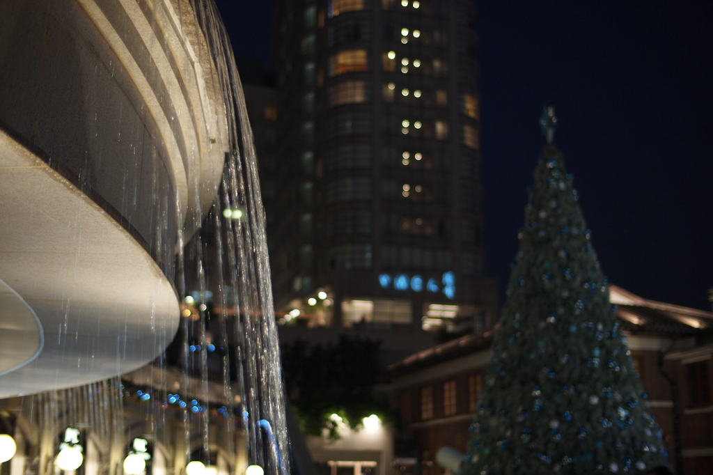 A Christmas Tree in a Dark