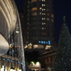 A Christmas Tree in a Dark