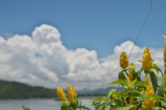 P7070781