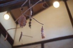 Winter Leaves