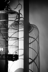 P8250233