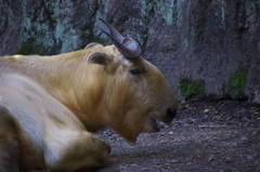 PB170697