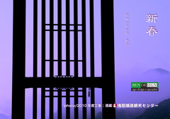 ２０１１年年賀状F300