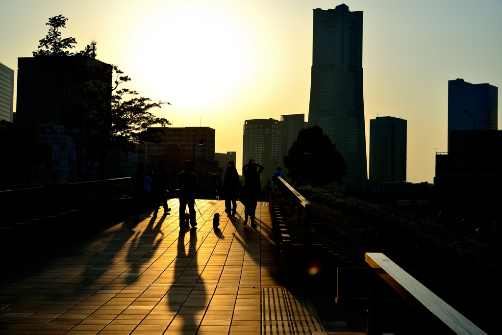 影　(横浜夕暮れ散歩)