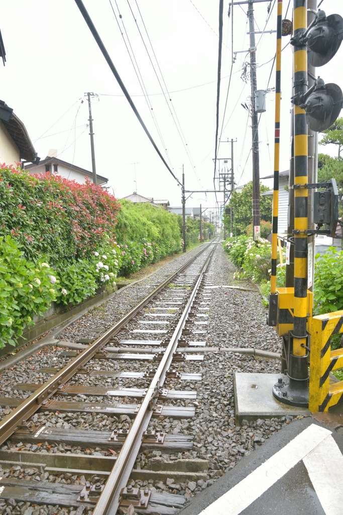 鎌倉江ノ電散歩(ゆる鉄風)