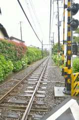 鎌倉江ノ電散歩(ゆる鉄風)