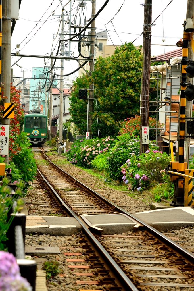 鎌倉江ノ電散歩