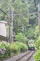 鎌倉江ノ電散歩(ゆる鉄風)