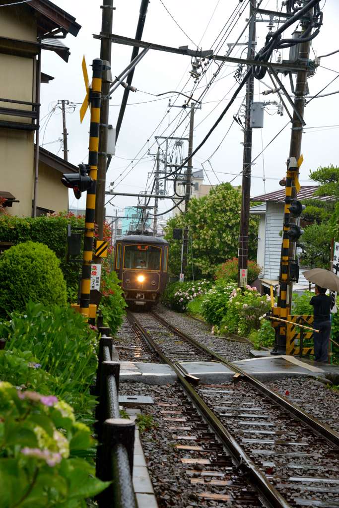 鎌倉江ノ電散歩