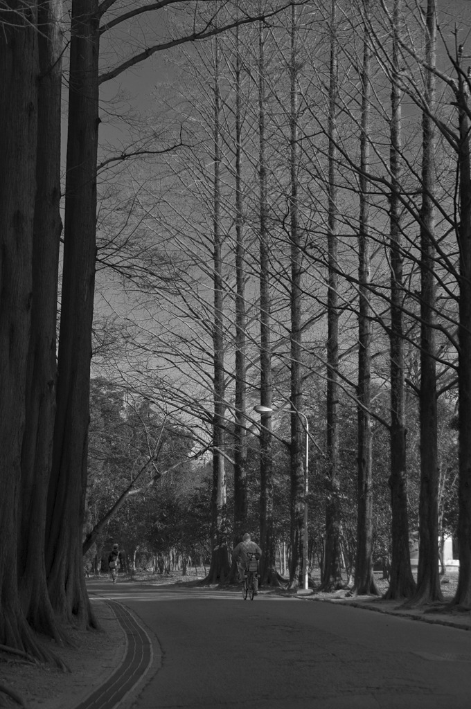 冬のある公園のシーン