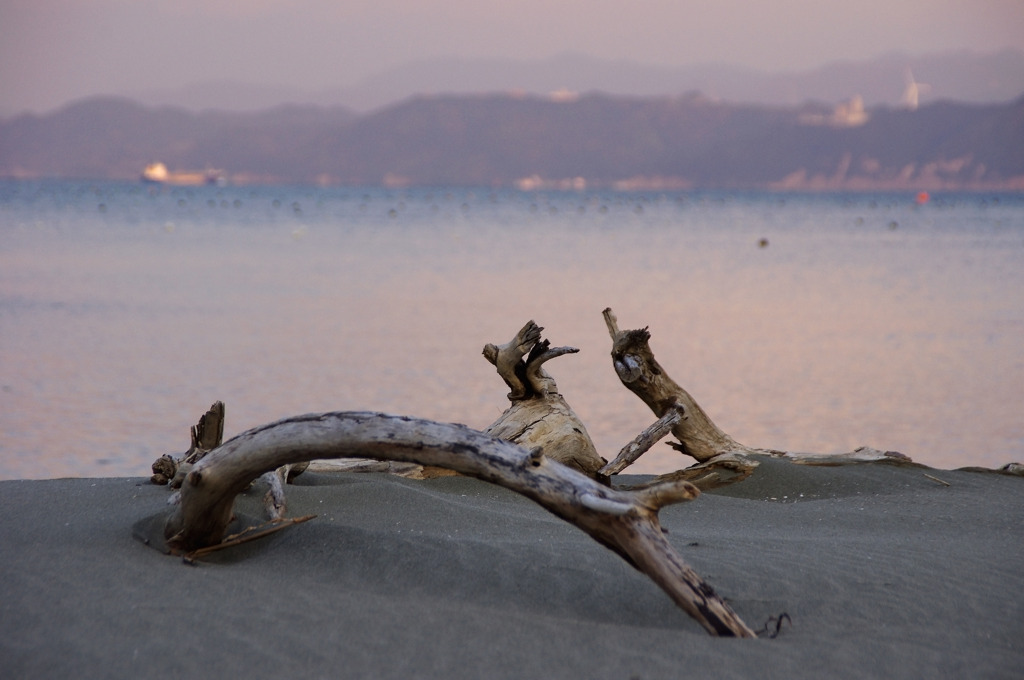 自然のオブジェ