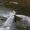 水の中を歩く