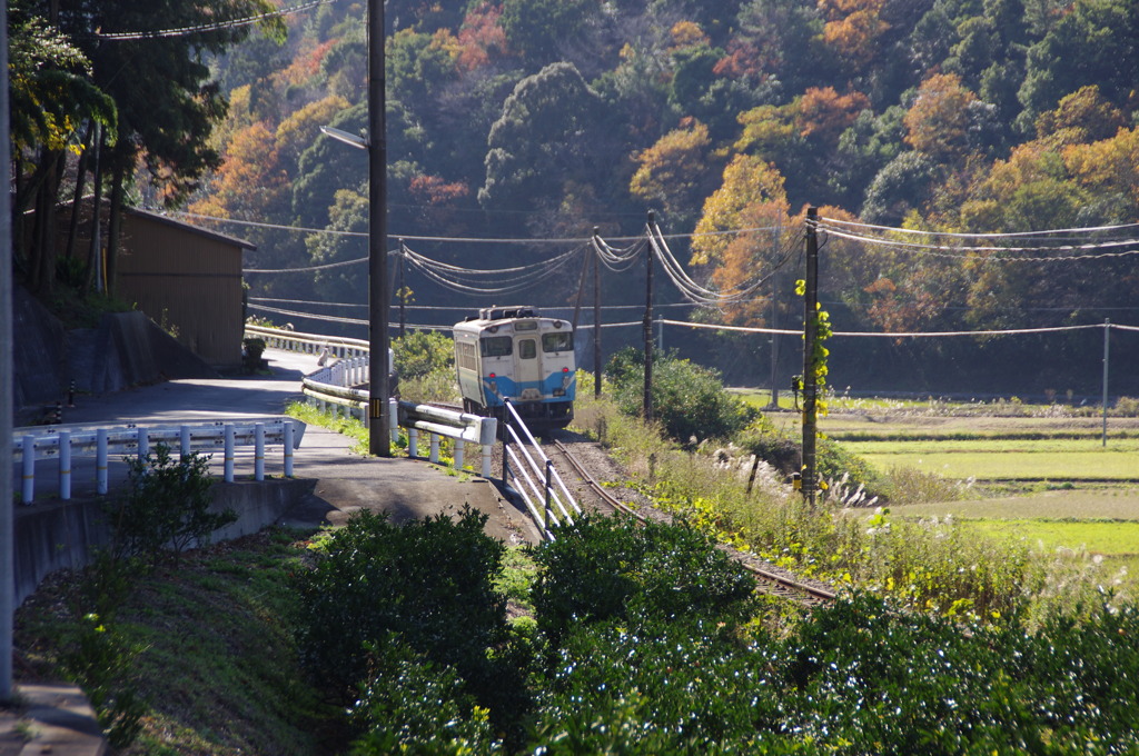 田舎を走る1輛列車