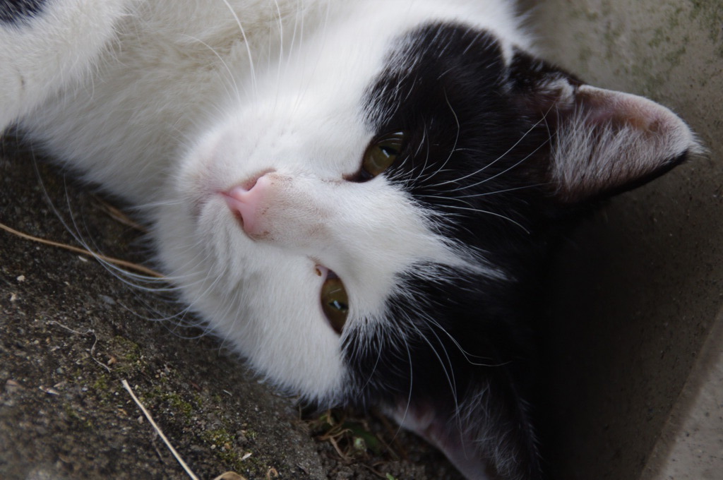 そんな目で見つめないで･･･