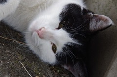 そんな目で見つめないで･･･