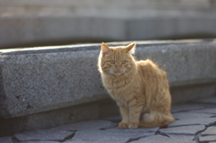 日溜まりの中で